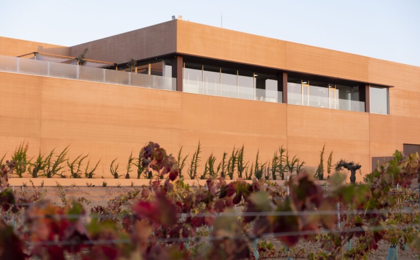 BODEGAS ARRÁEZ EN RENTRÉE CDICV